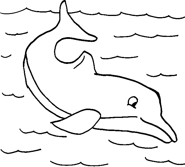 Dibujos para colorear de Delfines, Delphinidae, Delfín, Plantillas ...