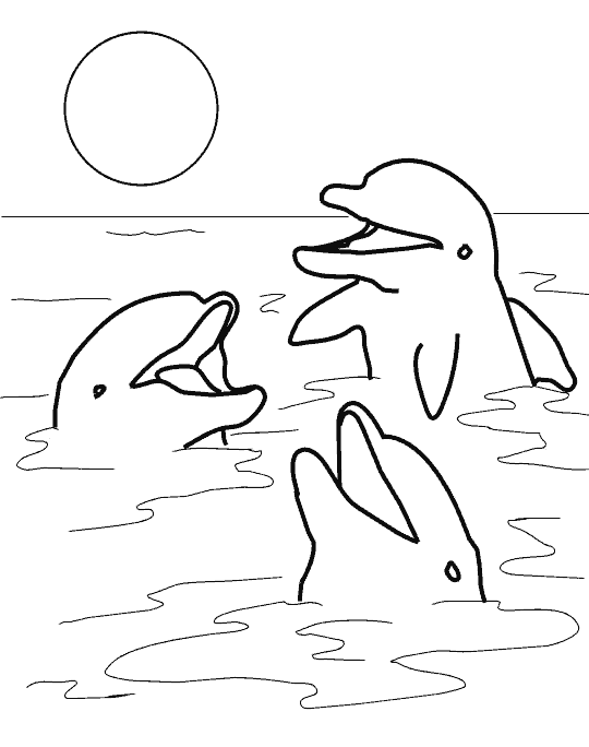 Dibujos para colorear de Delfines, Delphinidae, Delfín Dibujos para colorear de Delfines, Delphinidae, Delfín