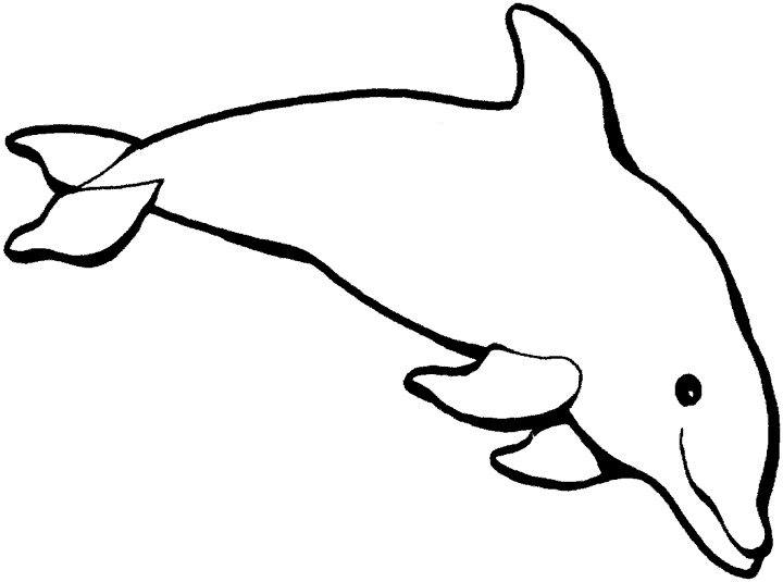 Dibujos para colorear de Delfines, Delphinidae, Delfín, Plantillas ...