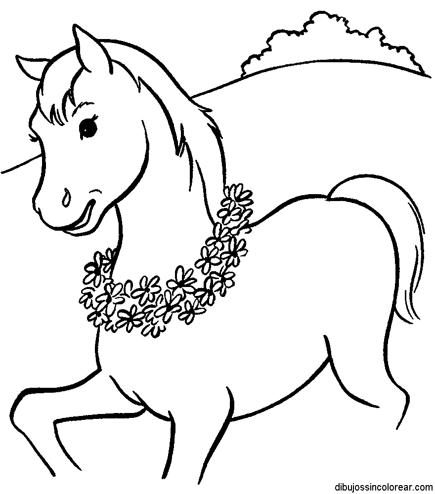 dibujos sin colorear dibujos de caballos para colorear MEMES Pictures