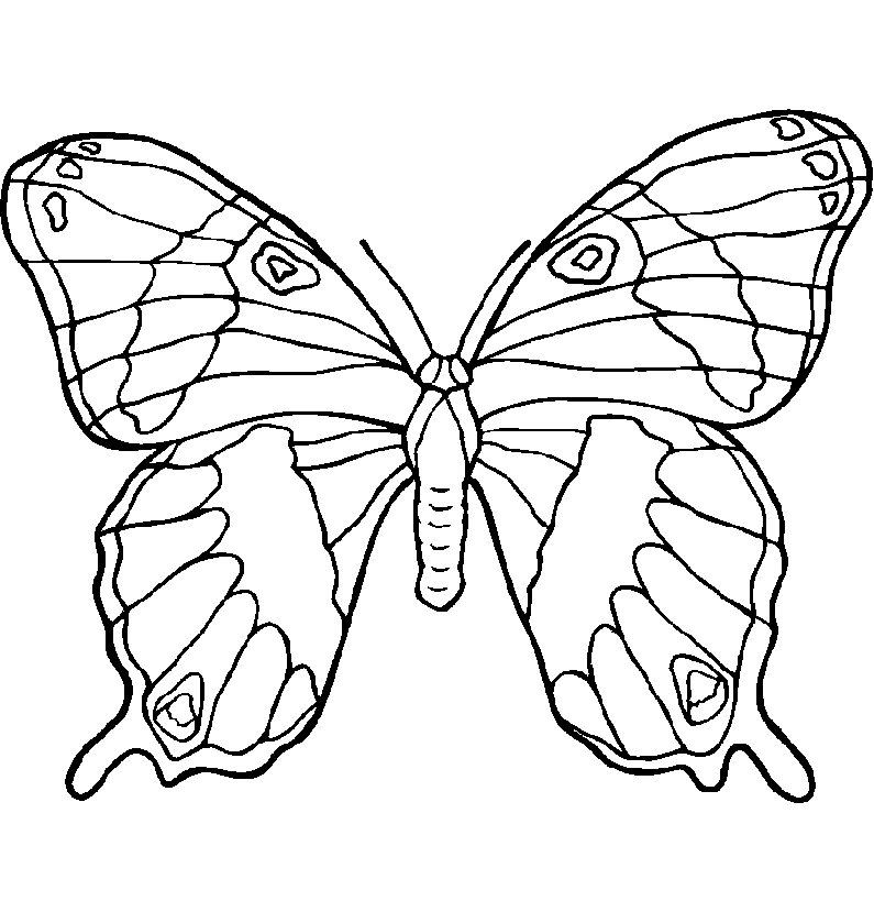Dibujos para colorear: Dibujos para colorear - Mariposas Dibujos para colorear: Dibujos para colorear - Mariposas