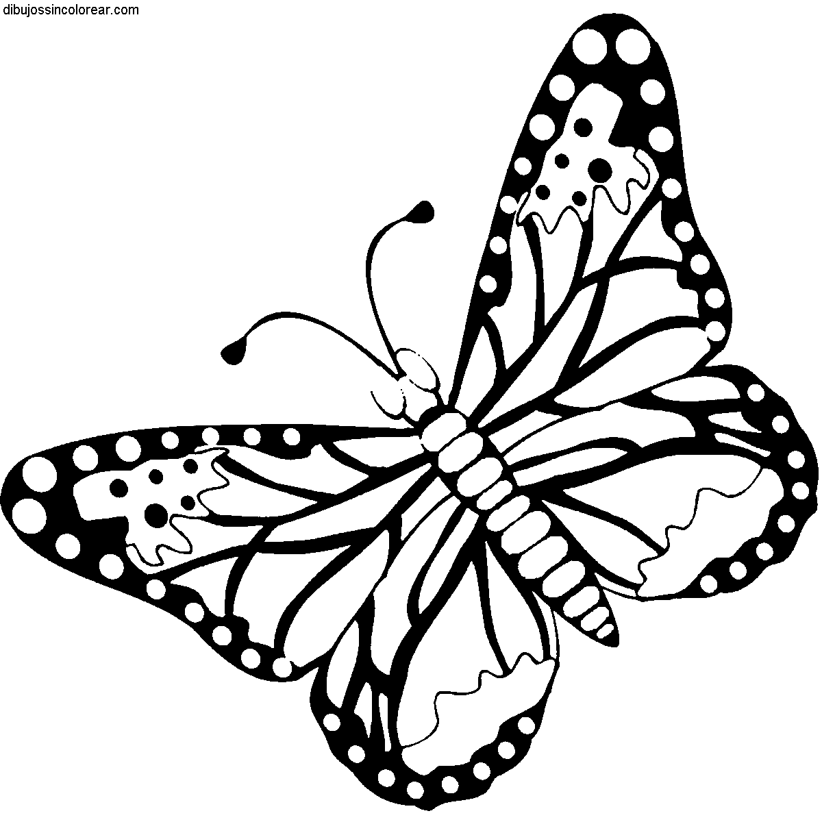 Dibujos Sin Colorear: Dibujos de Mariposas para Colorear Dibujos Sin Colorear: Dibujos de Mariposas para Colorear