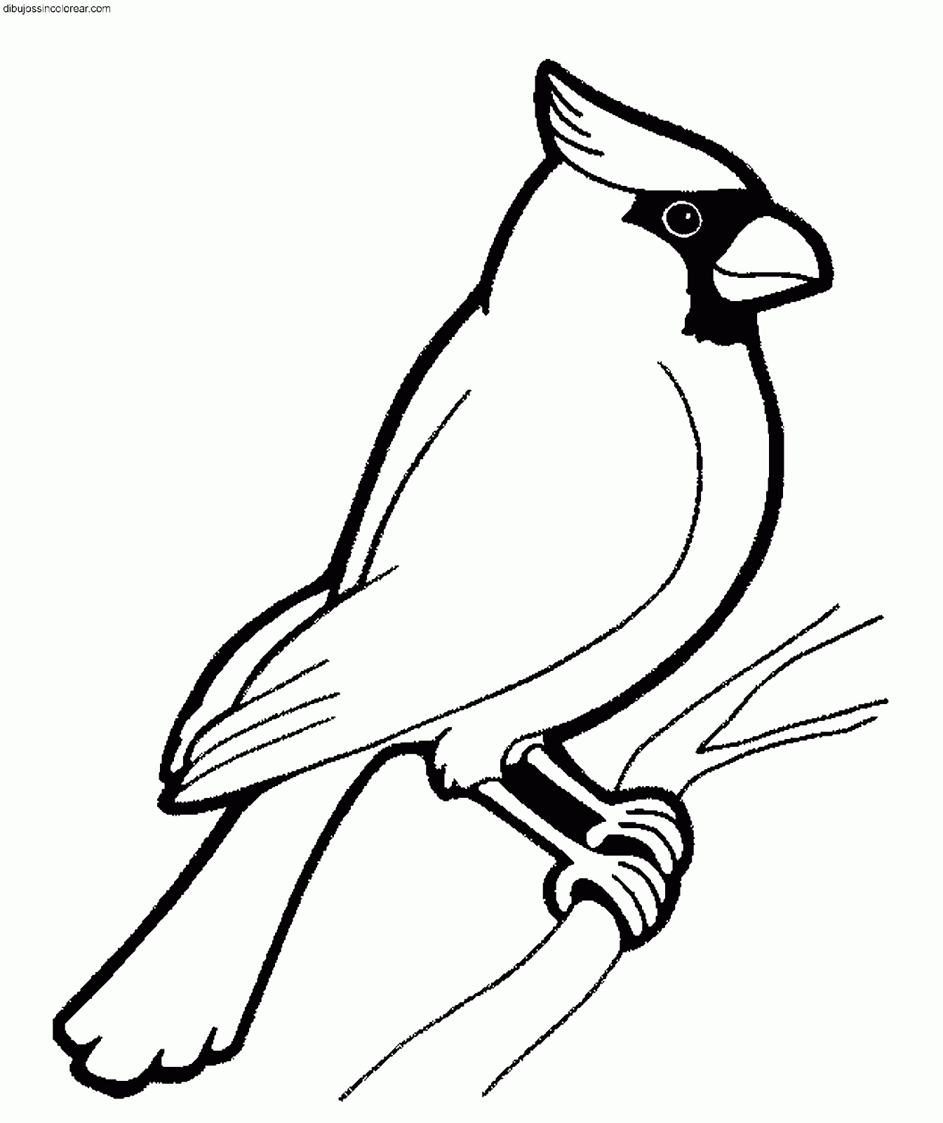 Dibujos Sin Colorear: Dibujos de Pájaros para Colorear Dibujos Sin Colorear: Dibujos de Pájaros para Colorear