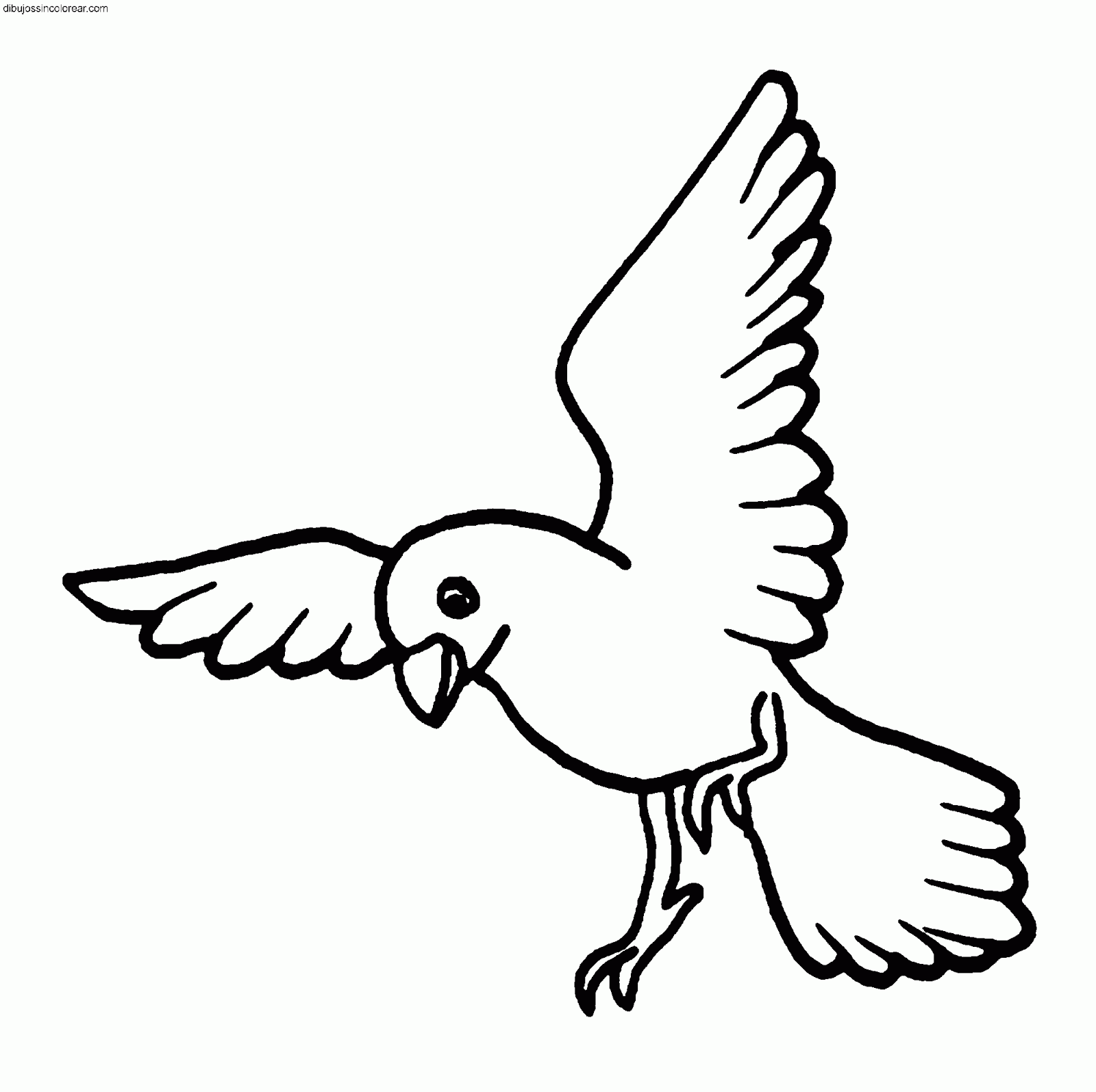 Dibujos Sin Colorear: Dibujos de Pájaros para Colorear Dibujos Sin Colorear: Dibujos de Pájaros para Colorear
