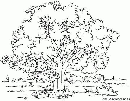 Dibujos para Colorear » Dibujos de Primavera Dibujos para Colorear » Dibujos de Primavera