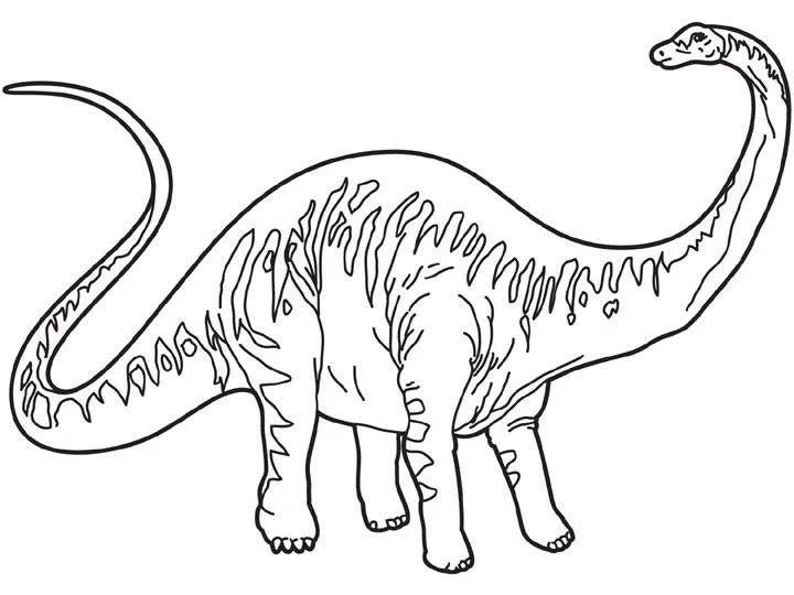 Dibujos para colorear DINOSAURIOS, Diplodocus para imprimir Dibujos para colorear DINOSAURIOS, Diplodocus para imprimir