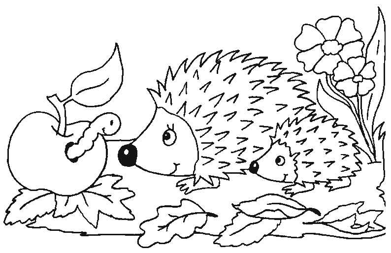 Dibujos para colorear de Erizos, Erinaceidae, Erinaceomorpha ... Dibujos para colorear de Erizos, Erinaceidae, Erinaceomorpha ...
