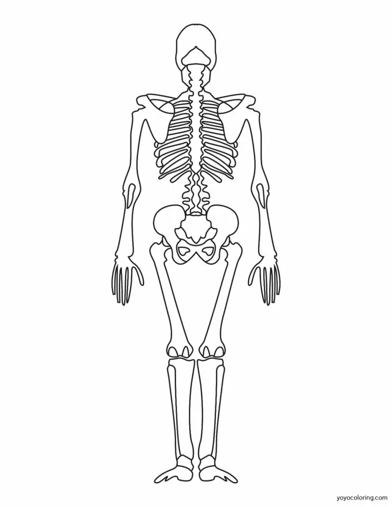 Dibujos para colorear de esqueletos ᗎ Plantilla de pintura imprimible Dibujos para colorear de esqueletos ᗎ Plantilla de pintura imprimible