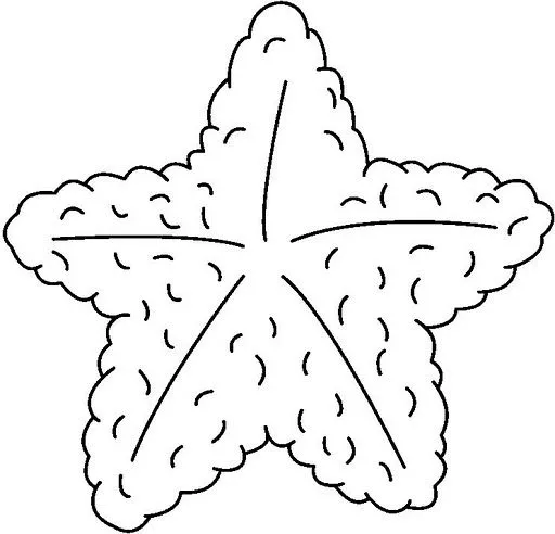 DIBUJOS PARA COLOREAR DE ESTRELLAS DE MAR