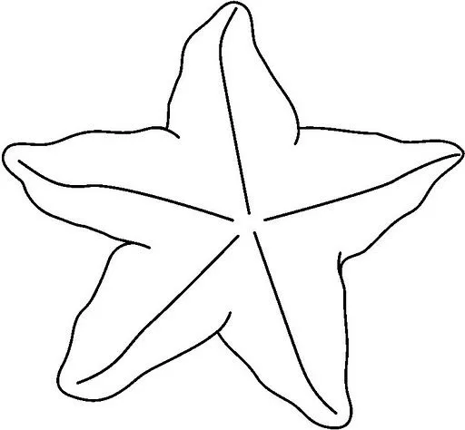 DIBUJOS PARA COLOREAR DE ESTRELLAS DE MAR