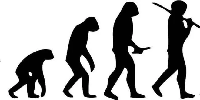 Dibujos para colorear de la evolucion humana - Imagui Dibujos para colorear de la evolucion humana - Imagui