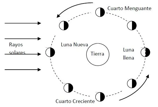 Que son las fases de la luna para pintar - Imagui