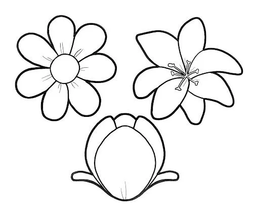 DIBUJOS PARA COLOREAR DE FLORES Y FLORECITAS DIBUJOS PARA COLOREAR DE FLORES Y FLORECITAS