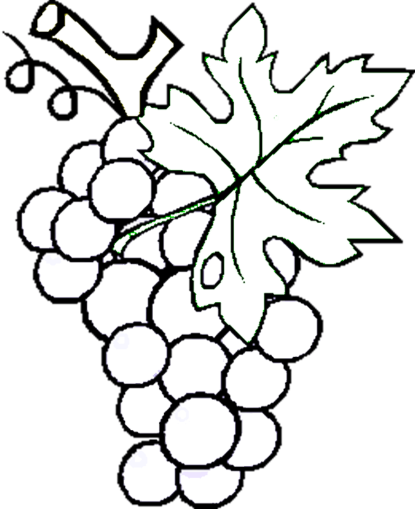 Dibujos para colorear de Frutas, Plantillas para colorear de Frutas Dibujos para colorear de Frutas, Plantillas para colorear de Frutas