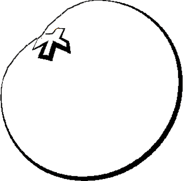 Dibujos para colorear de Frutas, Plantillas para colorear de Frutas