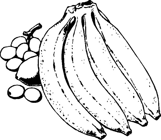 Dibujos para colorear de Frutas, Plantillas para colorear de Frutas