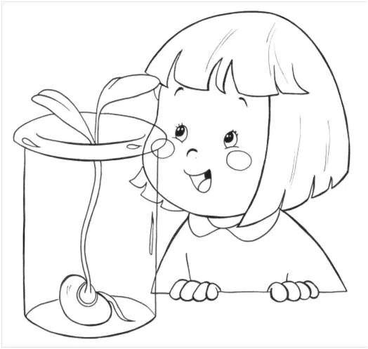 Dibujos para colorear de la germinacion - Imagui Dibujos para colorear de la germinacion - Imagui