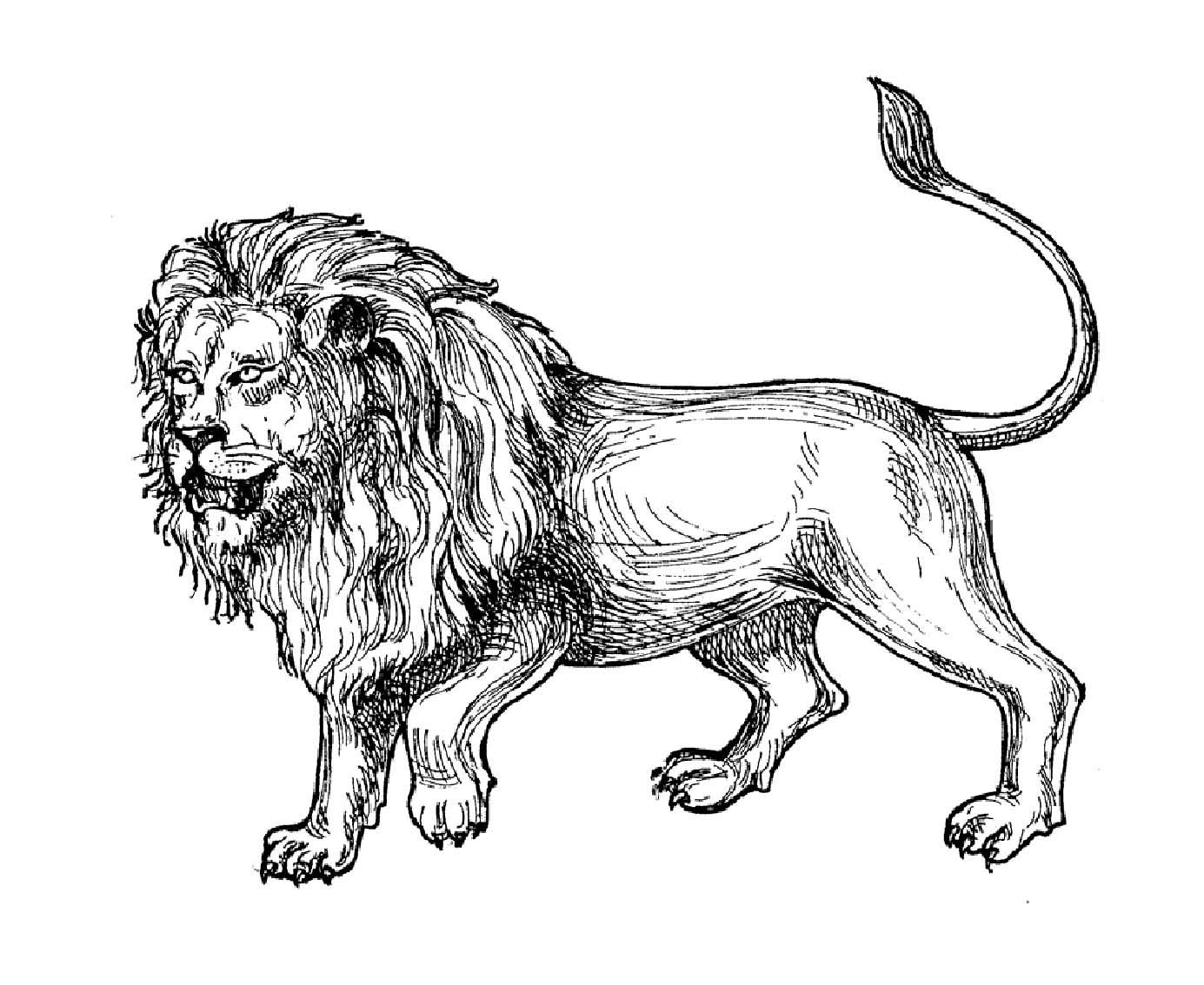 Dibujos para colorear gratis de León para niños - León - Just Color Niños : Dibujos para colorear para niños Dibujos para colorear gratis de León para niños - León - Just Color Niños : Dibujos para colorear para niños