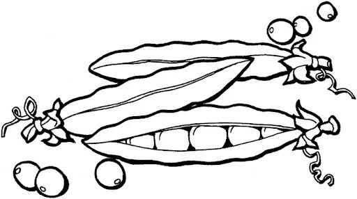 DIBUJOS PARA COLOREAR GUISANTES | Dibujos para colorear DIBUJOS PARA COLOREAR GUISANTES | Dibujos para colorear