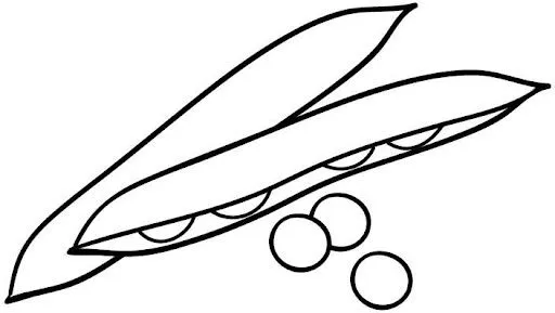 DIBUJOS PARA COLOREAR GUISANTES | Dibujos para colorear DIBUJOS PARA COLOREAR GUISANTES | Dibujos para colorear