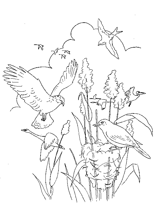 Dibujos para colorear de Historias de la Biblia, Plantillas para ...