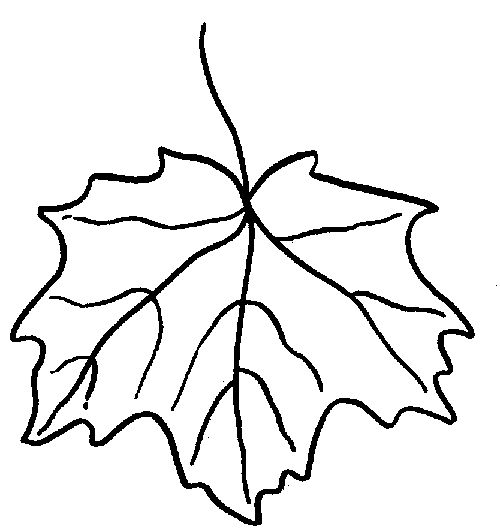 Dibujos para colorear de Hojas de los árboles, Plantillas para ... Dibujos para colorear de Hojas de los árboles, Plantillas para ...