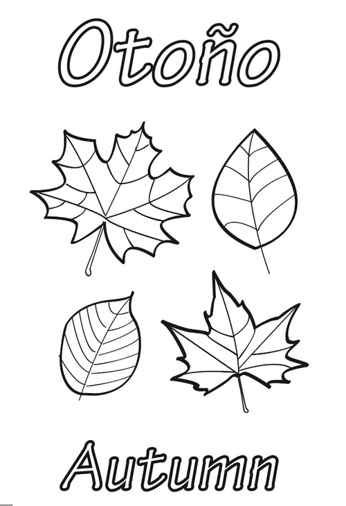 Dibujos de distintos tipos de hojas para colorear - Imagui Dibujos de distintos tipos de hojas para colorear - Imagui