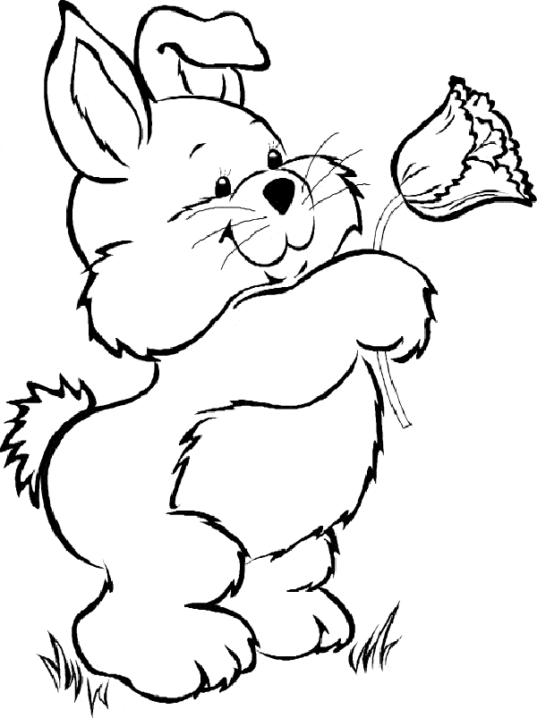 Dibujos para colorear, imagenes para pintar, caricaturas para ... Dibujos para colorear, imagenes para pintar, caricaturas para ...
