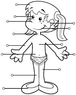 Niña: Partes del Cuerpo para Nombrar y Colorear Niña: Partes del Cuerpo para Nombrar y Colorear