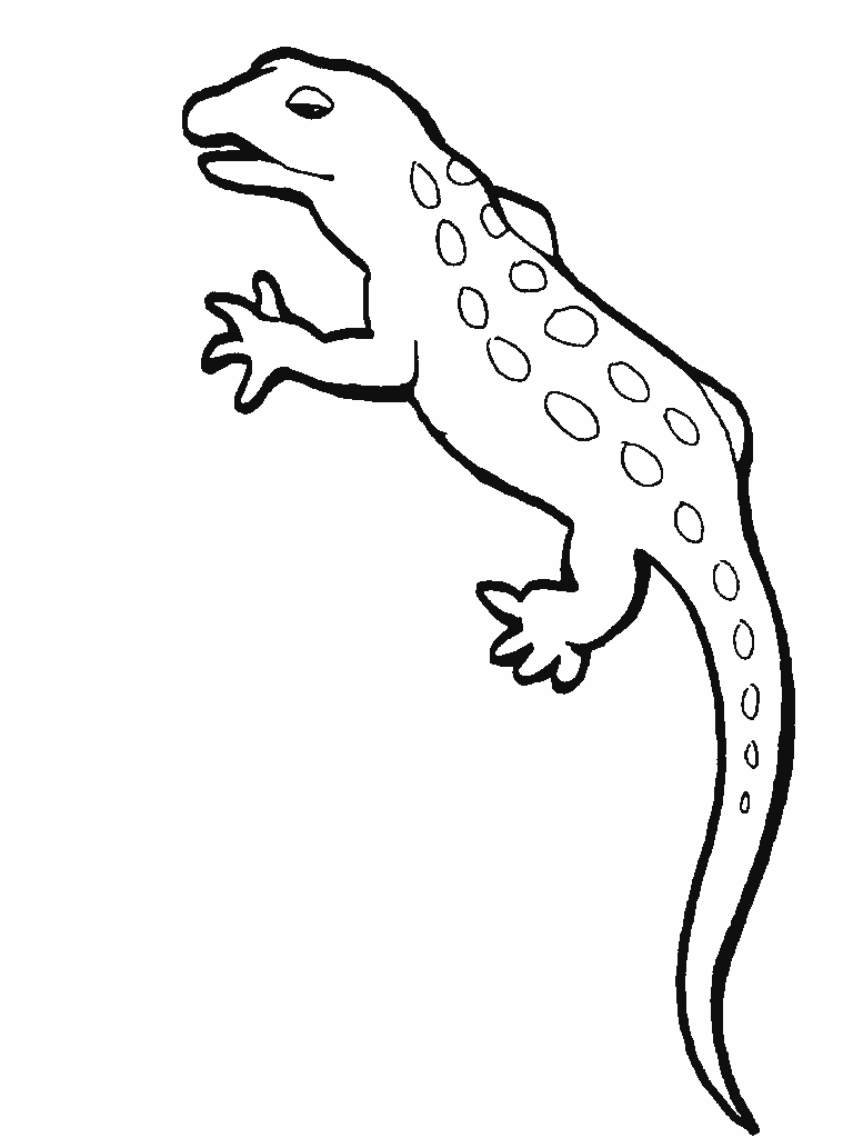 Dibujos para colorear animales anfibios - Imagui Dibujos para colorear animales anfibios - Imagui