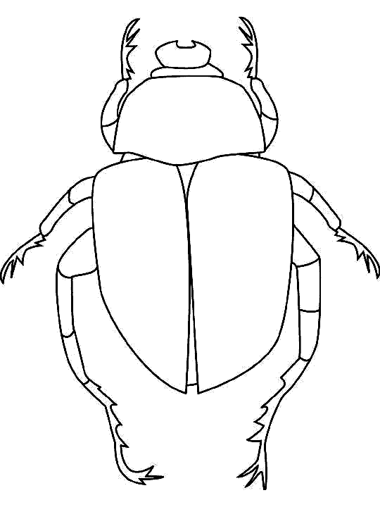 Dibujos para colorear de Insectos, Plantillas para colorear de ... Dibujos para colorear de Insectos, Plantillas para colorear de ...
