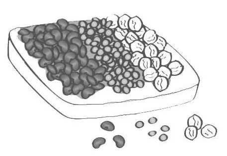 Dibujos PARA COLOREAR de leguminosas - Imagui