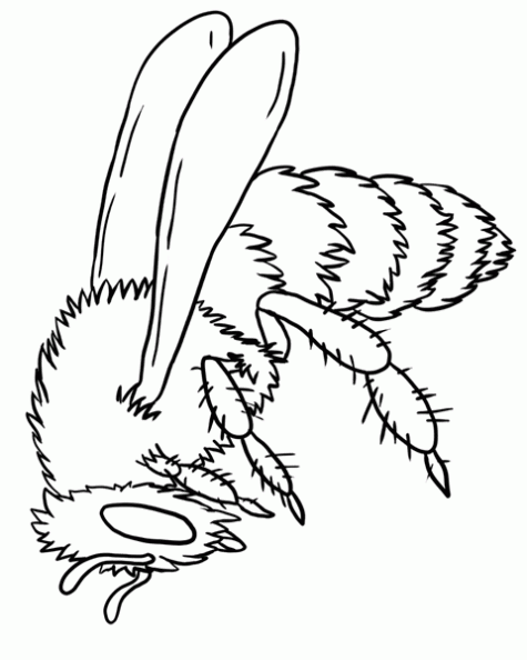 Dibujos para colorear. Maestra de Infantil y Primaria.: Dibujos de ... Dibujos para colorear. Maestra de Infantil y Primaria.: Dibujos de ...