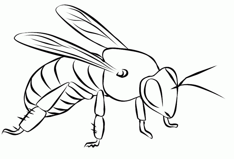 Dibujos para colorear. Maestra de Infantil y Primaria.: Dibujos de ... Dibujos para colorear. Maestra de Infantil y Primaria.: Dibujos de ...