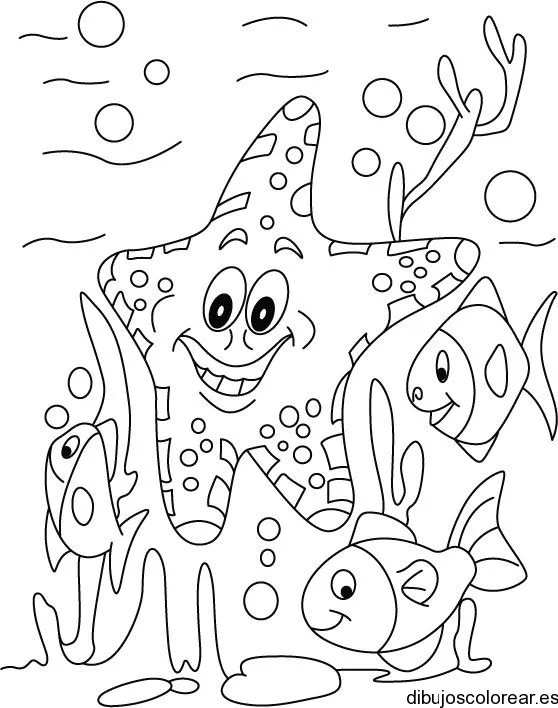 estrella de mar | Dibujos para Colorear