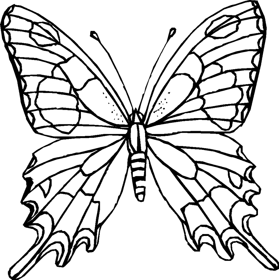 Dibujos para colorear de Mariposas, Lepidópteros, Plantillas para ... Dibujos para colorear de Mariposas, Lepidópteros, Plantillas para ...