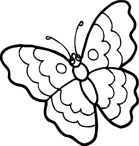 Dibujos para colorear de Mariposas, Lepidópteros, Plantillas para ... Dibujos para colorear de Mariposas, Lepidópteros, Plantillas para ...