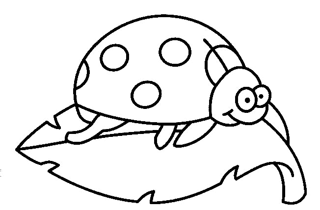 Dibujos para colorear de Mariquitas, chinitas, catarinas ... Dibujos para colorear de Mariquitas, chinitas, catarinas ...