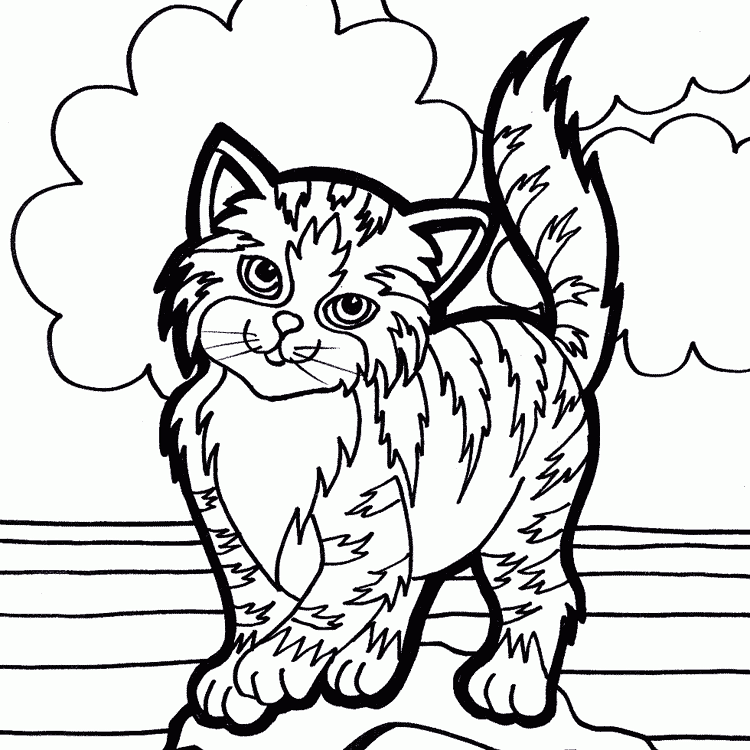 Dibujos para colorear de mascotas. Dibujos de mascotas para pintar Dibujos para colorear de mascotas. Dibujos de mascotas para pintar