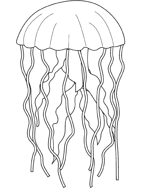Dibujos para colorear de Medusas, aguamalas, Plantillas para ...