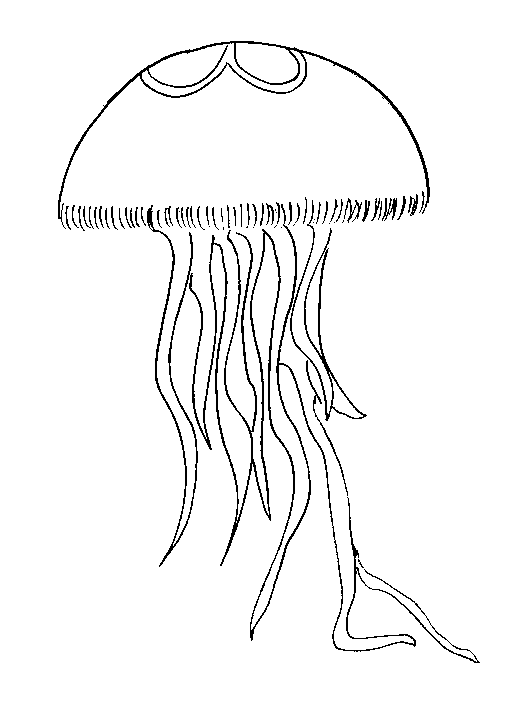 Dibujos para colorear de Medusas, aguamalas, Plantillas para ... Dibujos para colorear de Medusas, aguamalas, Plantillas para ...