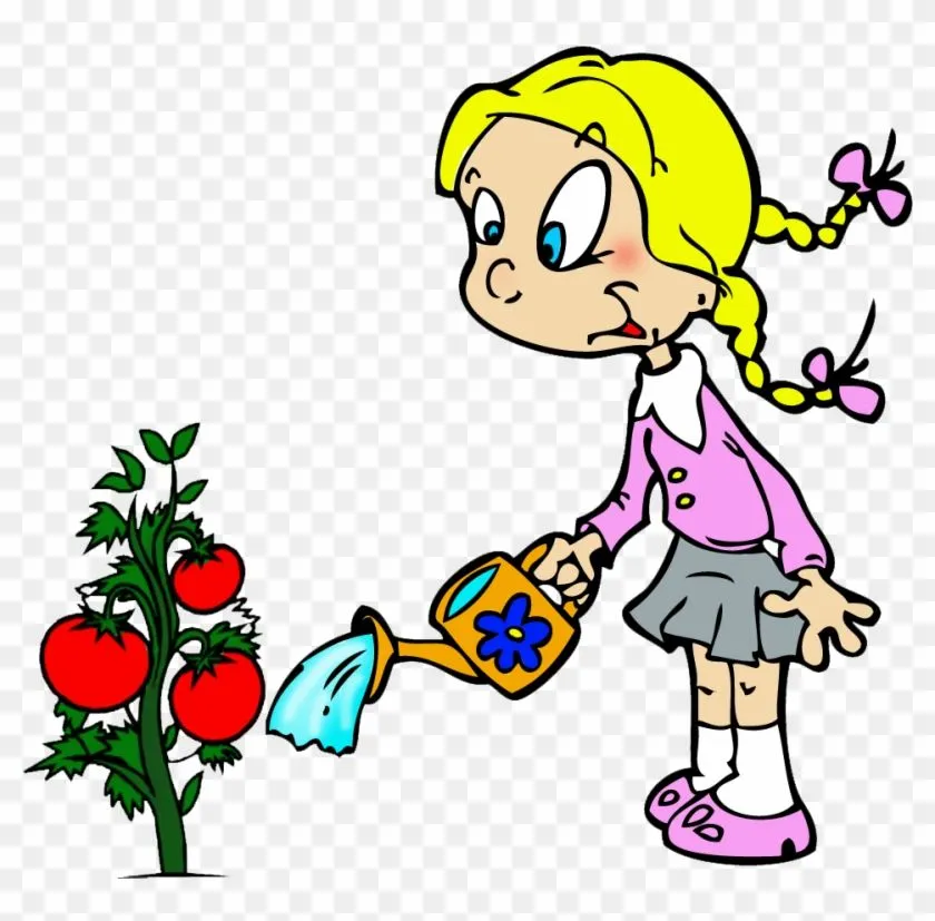 Dibujos Para Colorear Niños Sembrando Plantas ~ Ideas - Tomato Plant Clip Art - Free Transparent PNG Clipart Images Download Dibujos Para Colorear Niños Sembrando Plantas ~ Ideas - Tomato Plant Clip Art - Free Transparent PNG Clipart Images Download