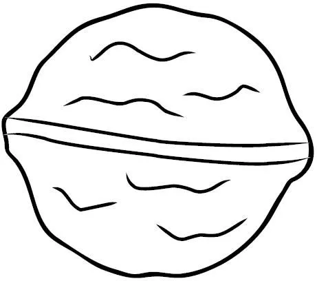 DIBUJOS PARA COLOREAR NUECES | Dibujos para colorear DIBUJOS PARA COLOREAR NUECES | Dibujos para colorear