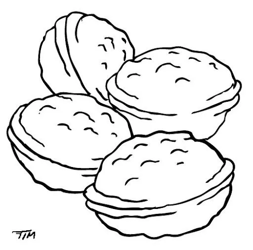 DIBUJOS PARA COLOREAR NUECES | Dibujos para colorear