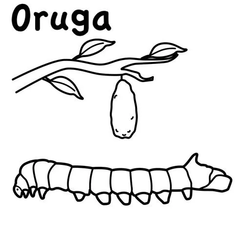 Dibujos para colorear de una oruga - Imagui