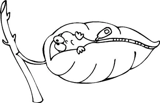 DIBUJOS PARA COLOREAR ORUGAS | Dibujos para colorear DIBUJOS PARA COLOREAR ORUGAS | Dibujos para colorear