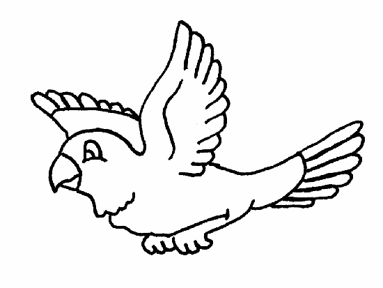 Dibujo pajaro para colorear - Imagui