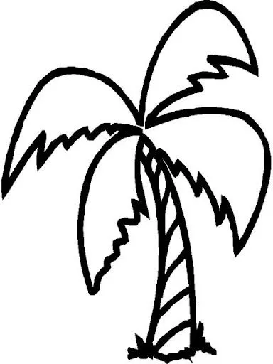 palmera-2.jpg?imgmax=640