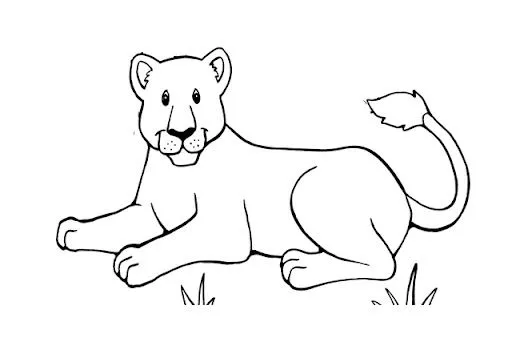 DIBUJOS PARA COLOREAR PANTERAS | Dibujos para colorear