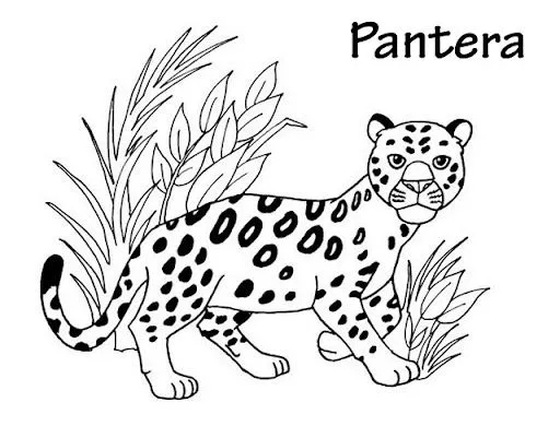 DIBUJOS PARA COLOREAR PANTERAS